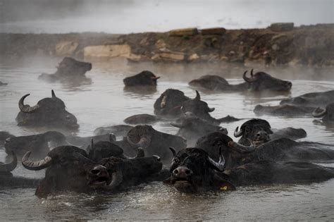 Europe Hidden Hot Springs Journey - ヨーロッパ秘湯ジャーニー — F R T R