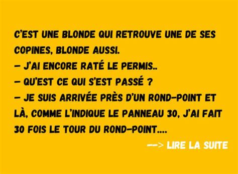 La Blonde Et Le Permis De Conduire