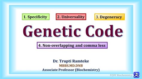 11 Genetic Code Characteristics Wobble Hypothesis Molecular