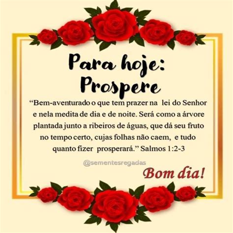 A Red Rose Frame With The Words Papa Hope Proper In Spanish And English