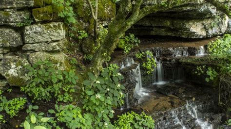 Old Stone Fort State Archaeological Park Tennessee State Parks