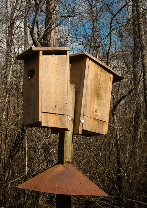 Wood Duck Nest Box Plans woodwork crafts Plans Download | throeslogynon