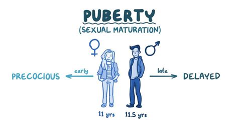 Precocious And Delayed Puberty Clinical Practice Osmosis