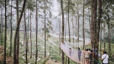 Tempat Wisata Alam Di Bandung Untuk Lepas Penat Lihat Jenis