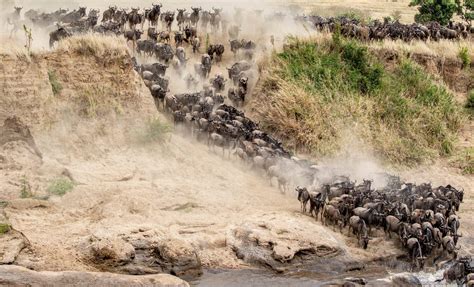 Days Masai Mara Lake Nakuru Lake Naivasha Amboseli Tsavo East From