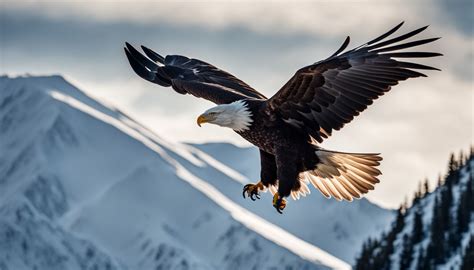 Discovering the Beauty: Rare and Unusual Bird Sightings Across the USA ...