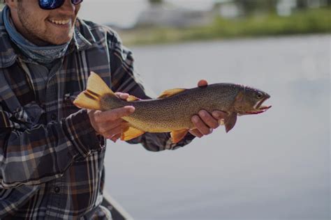 Fishing Outfitters and Guides Wanted - Wyoming Wildlife Federation