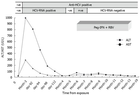 Acute Hepatitis C Virus Infection In A Nurse Trainee Following A