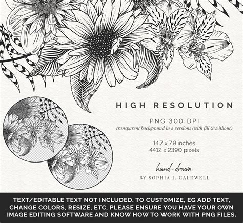 Hand Drawn Digital Floral Bouquet PNG Sunflower Daisy Dahlia Etsy