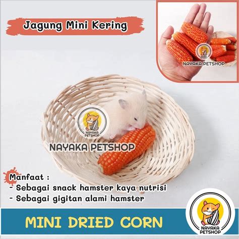 Jual Mini Dried Corn Jagung Kering Utuh Makanan Snack Hamster Pakan