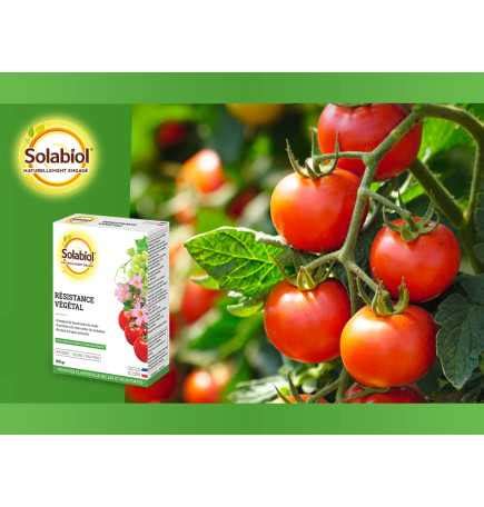 Bicarbonate De Soude SOLABIOL Protection Naturelle Pour Vos Plantes