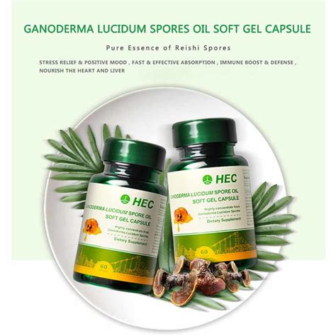 Ganoderma Lucidum Spores Oil Reishi Mushroom Extract Naturally