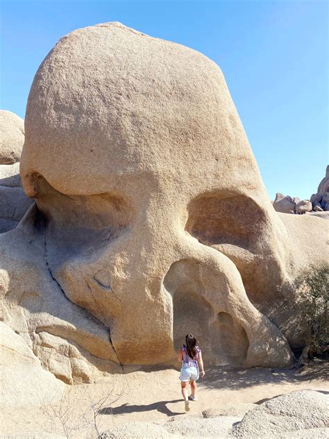 Skull Rock Joshua Tree National Park • A Passion And A Passport