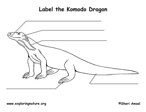 Komodo Dragon Labeling Page