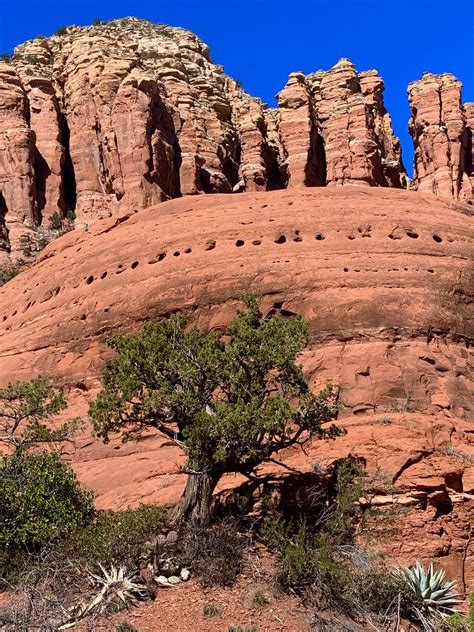 Redrock Realm By Jim Near Sedona Arizona Jim And Nina Pollock Flickr