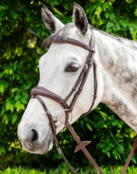 Prestige Bridle E141 Fancy Stitched Raised • Tack N Rider