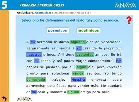 Los Ciberexploradores Del Cole Los Determinantes Indefinidos