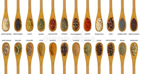 Assorted Spices on White Background