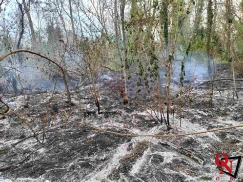 Ivrea Incendio Boschivo In Via Delle Germane Foto