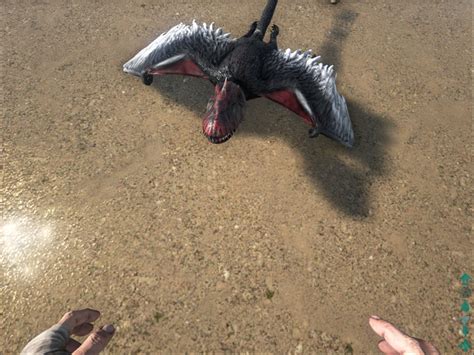 Image Ark Dimorphodon Screenshot 007  Ark Survival Evolved Wiki