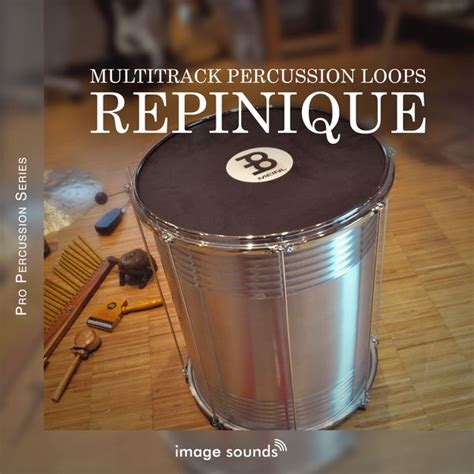 Repinique - producerplanet.com