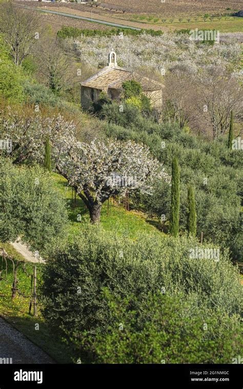 France Vaucluse Parc Naturel R Gional Du Luberon M Nerbes