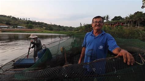 Entrei Dentro Do Tanque Rede E Peguei Todos Os Peixes Pescando