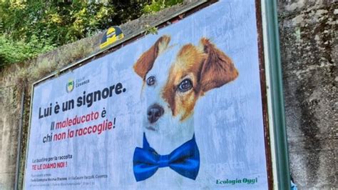 Al Via A Cosenza La Campagna Per La Raccolta Delle Deiezioni Canine