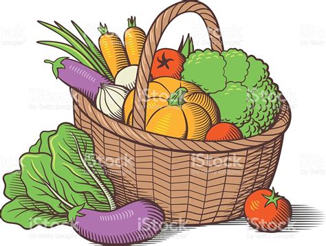 Vegetable Basket Sketch at PaintingValley.com | Explore collection of ...