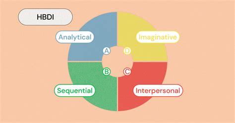 Unpacking The Hbdi Test Hbdi Quadrants And Assessment Methodology