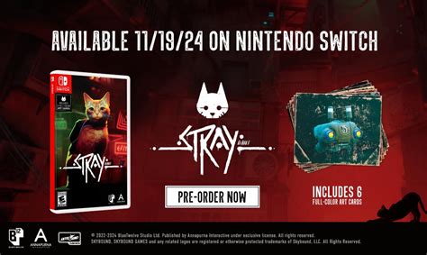 Stray Switch physical release revealed, pre-orders