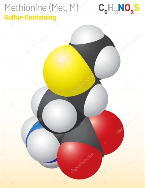 Metionina Met M molécula de aminoácidos fórmula química C5H11NO2S