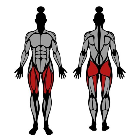 bulgarian split squat muscles worked technique strengthlog