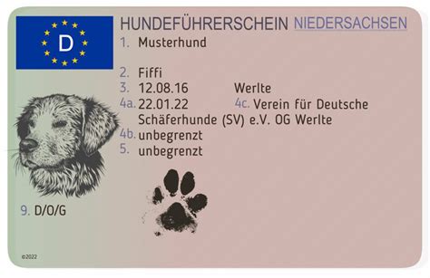 Hundeführerschein Prüfung am 09 07 2023 Hundeverein Werlte