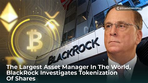 The Largest Asset Manager In The World Blackrock Investigates