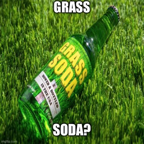 Grass Soda Imgflip