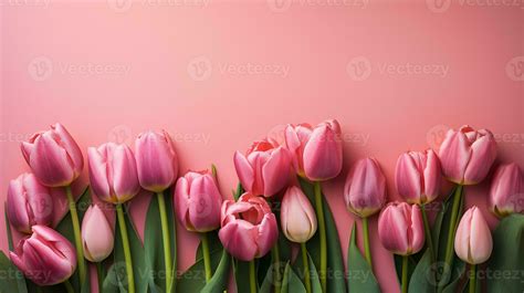 A pink tulips bouquet on pastel pink background with copyspace 28631518 ...