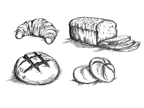 Set Of Hand Drawn Bread Types Vector By Wiktoria Matynia On Dribbble