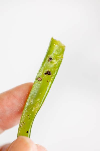 French Cut Green Beans Julie Blanner