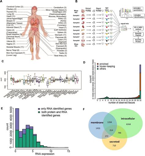 A Quantitative Proteome Map Of The Human Body Biorxiv