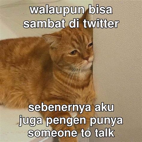 tweet lucu buku animasi kata kata cantik stiker kucing