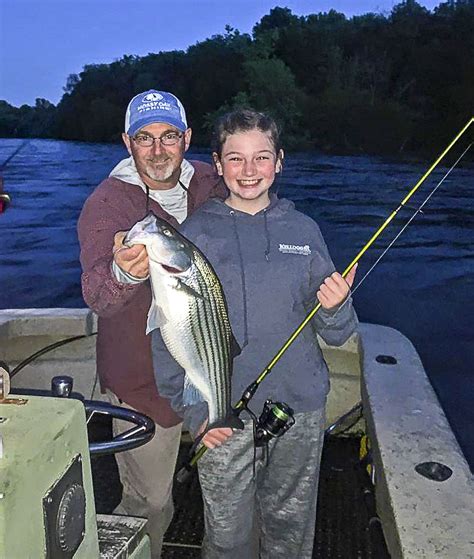 North Carolinas Spring Striper Spawning Run Up The Roanoke River Is