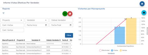 Informe Visitas Efectivas Por Vendedor