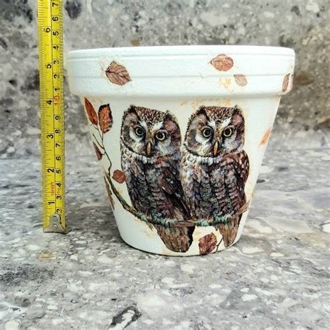 Owl Terracotta Plant Pot Decoupaged Owl Planter Owl Flower Etsy