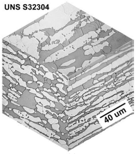 1 Micrografia óptica em 3 D do aço inoxidável duplex UNS S32304 como