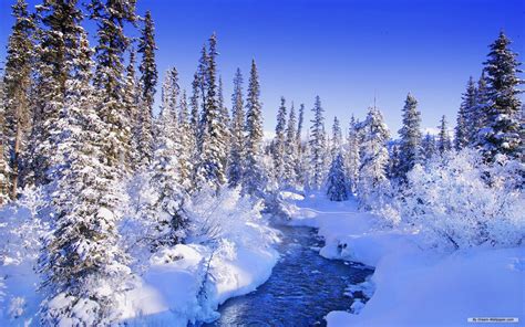 Nature Winter Desktop Wallpapers - Wallpaper Cave