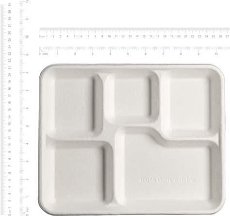 Buy 100 Compostable 5 Compartment Plates 125 Pack Eco Friendly