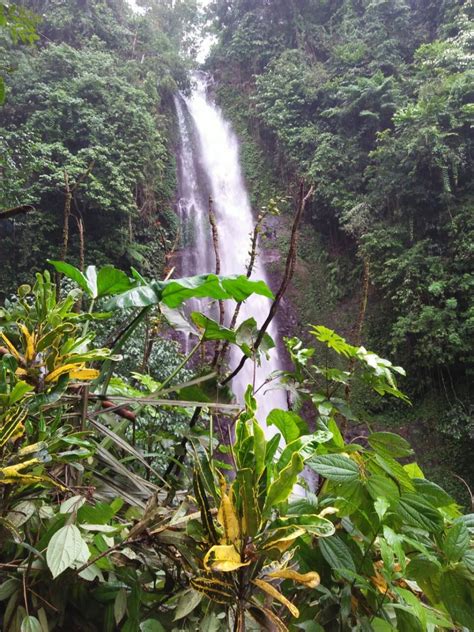 Objek Wisata Melanting Waterfall Website Desa Gobleg