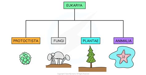 Eukarya The Chimera: Eukaryotes, A Secondary Innovation Of, 47% OFF