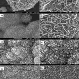 FESEM Images At Different Magnifications Of NiO Nanoparticles At